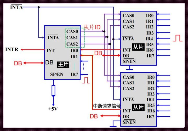 微机原理中的 8259 芯片：揭秘神秘“惊现”之谜