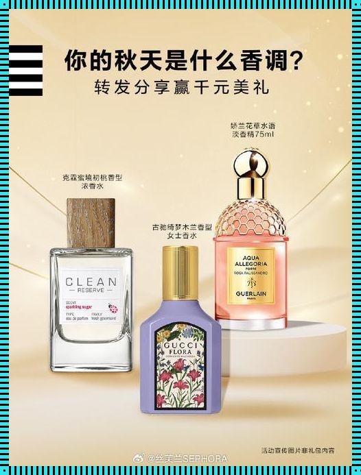 YSL 千人千面包 T9：时尚与艺术的奇妙结合