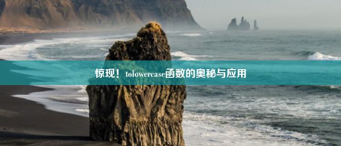 惊现！tolowercase函数的奥秘与应用