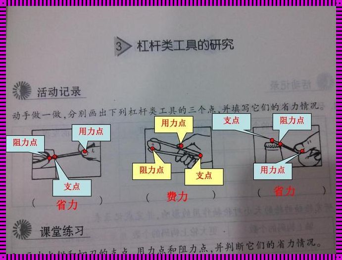 用力点：科技助力蛟河发展新引擎