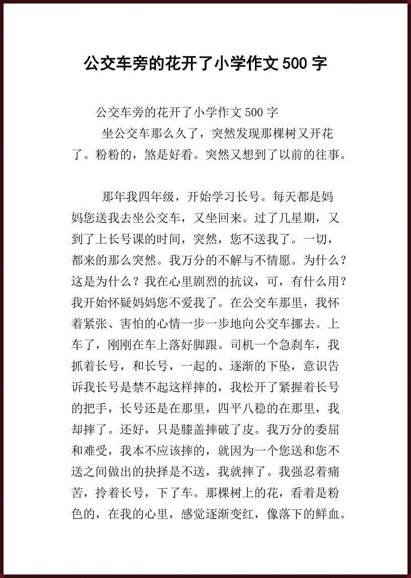 小诗的公交车日记：肇庆惊现科技魅力