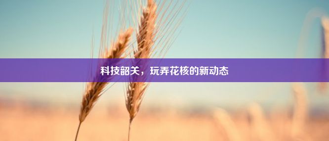 科技韶关，玩弄花核的新动态