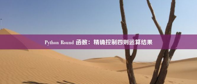 Python Round 函数：精确控制四则运算结果