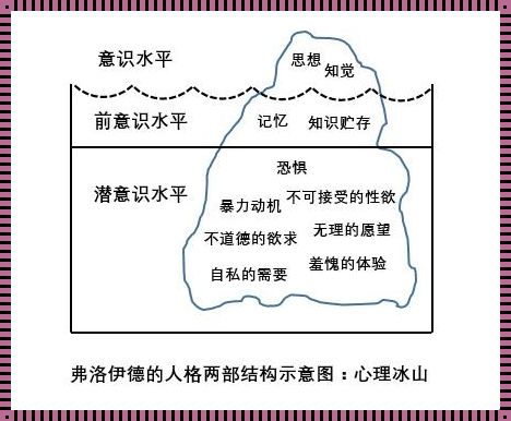 《二部图解析：从点到面的思维跨越》