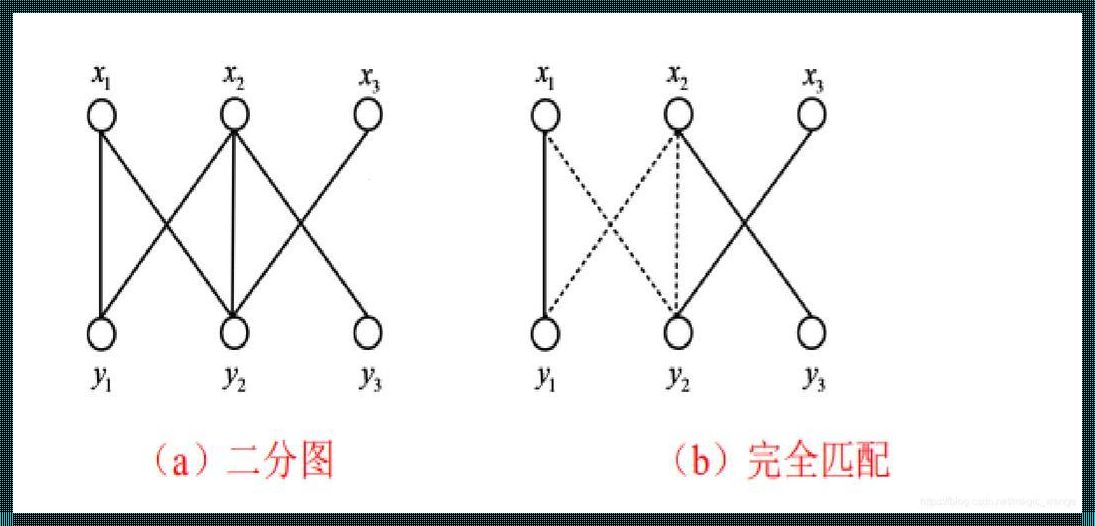 二分图的完全性与明显性