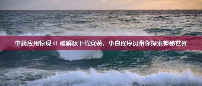 中药应用惊现 91 破解版下载安装，小白程序员带你探索神秘世界