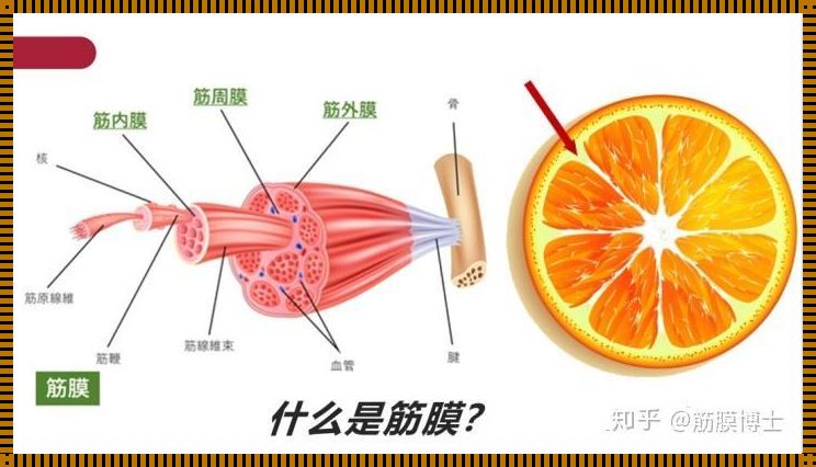 冲破那层薄膜的阻碍——科技与游戏应用的紧密融合