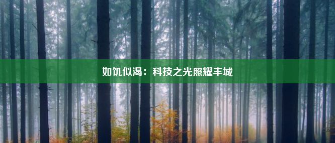 如饥似渴：科技之光照耀丰城