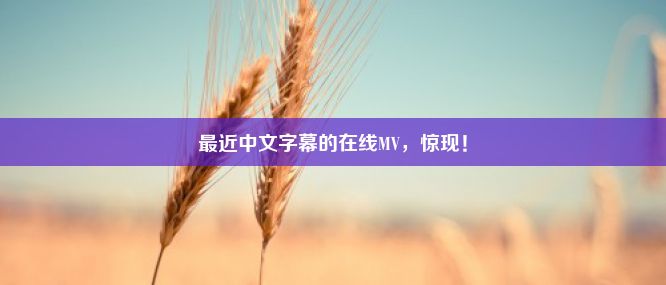 最近中文字幕的在线MV，惊现！