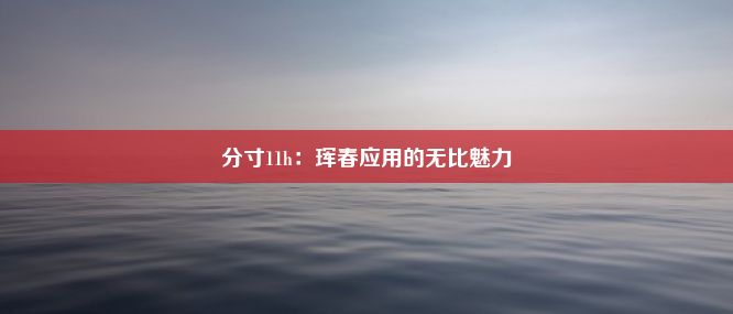 分寸11h：珲春应用的无比魅力