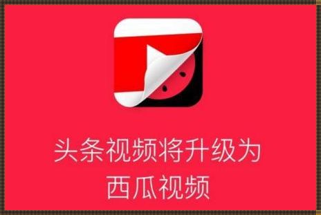 西瓜视频APP：威海惊现新玩法