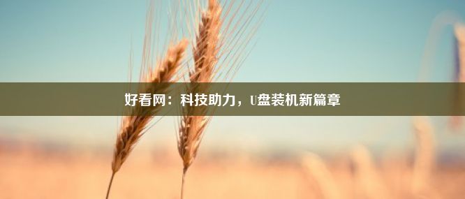 好看网：科技助力，U盘装机新篇章