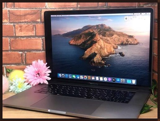 18-19岁macbook日本：科技与耳鼻喉科的奇妙结合