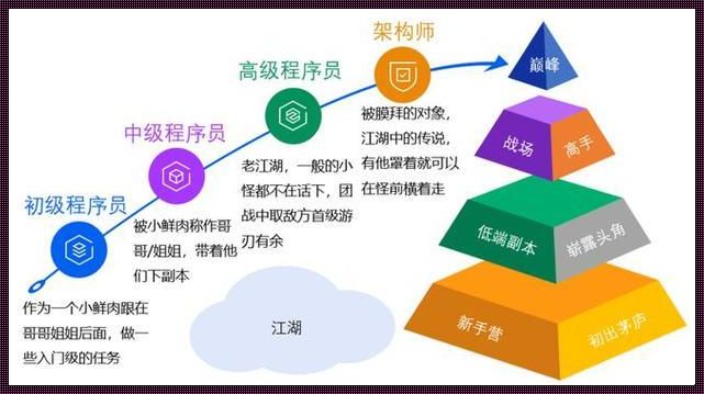 软件架构师：剖析智慧与情感的结晶