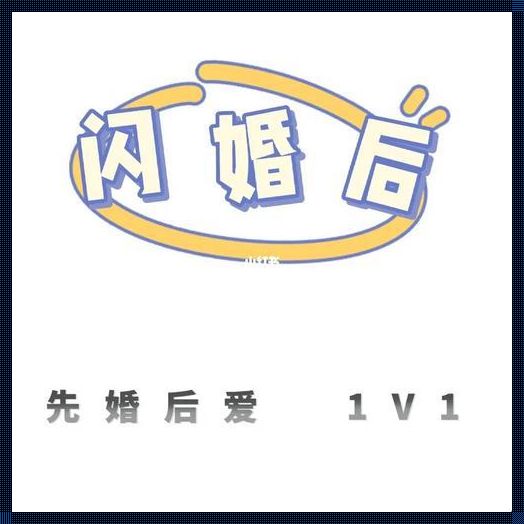 《科技续航，闪婚后简柠苏昂1V1的甜蜜生活》