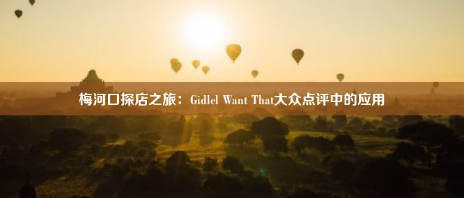 梅河口探店之旅：Gidlel Want That大众点评中的应用