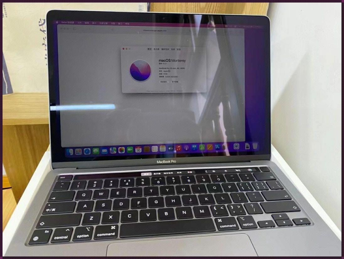 科技庐山论：19岁macbookpro高清之魅力