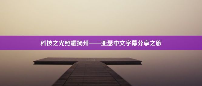 科技之光照耀扬州——亚瑟中文字幕分享之旅