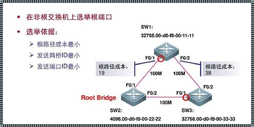 STP生成树协议端口状态探秘：从新手到高手