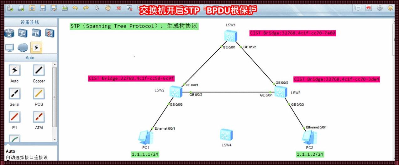 STP生成树协议端口状态探秘：从新手到高手