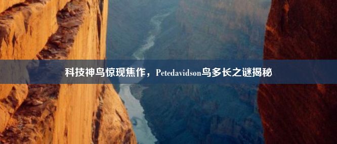 科技神鸟惊现焦作，Petedavidson鸟多长之谜揭秘