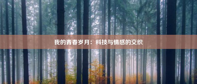 我的青春岁月：科技与情感的交织