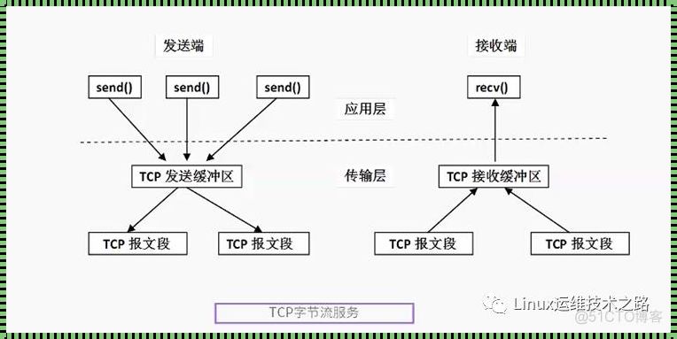 ICMP，传输层的“神秘来客”