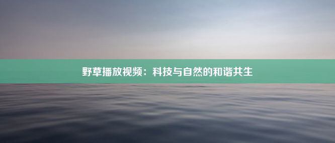 野草播放视频：科技与自然的和谐共生