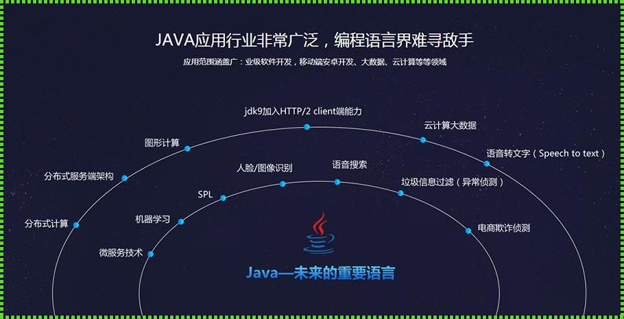 《Java之预售：领域拓展，未来已来》