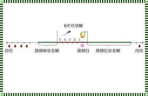 科技秘境：永济惊叹，危险期揭秘