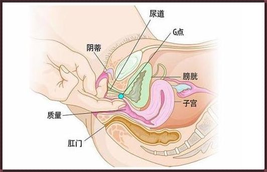 G位精准定位：科技与艺术的完美结合