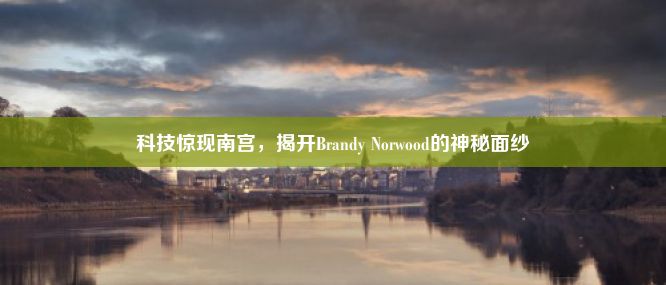 科技惊现南宫，揭开Brandy Norwood的神秘面纱