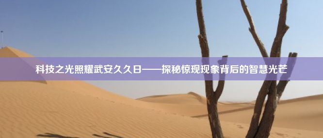 科技之光照耀武安久久日——探秘惊现现象背后的智慧光芒