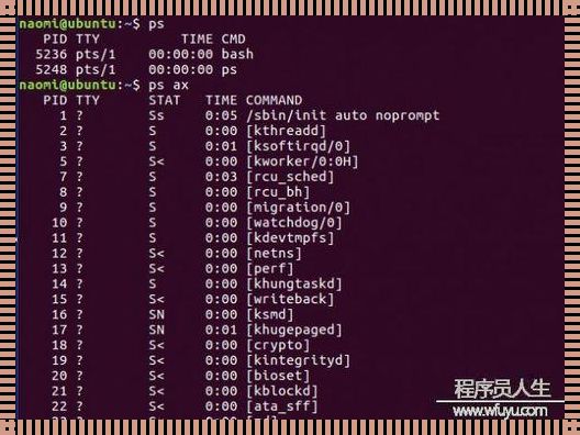 Linux运行程序命令，感受无与伦比的操作体验