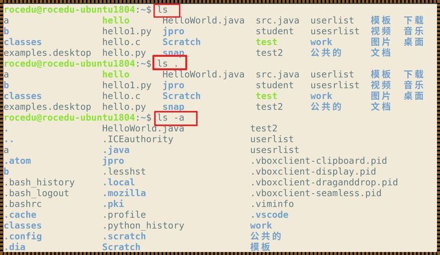 Linux运行程序命令，感受无与伦比的操作体验