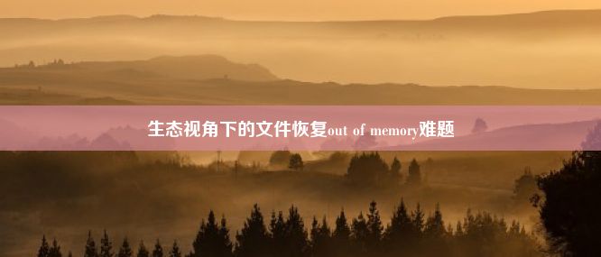 生态视角下的文件恢复out of memory难题