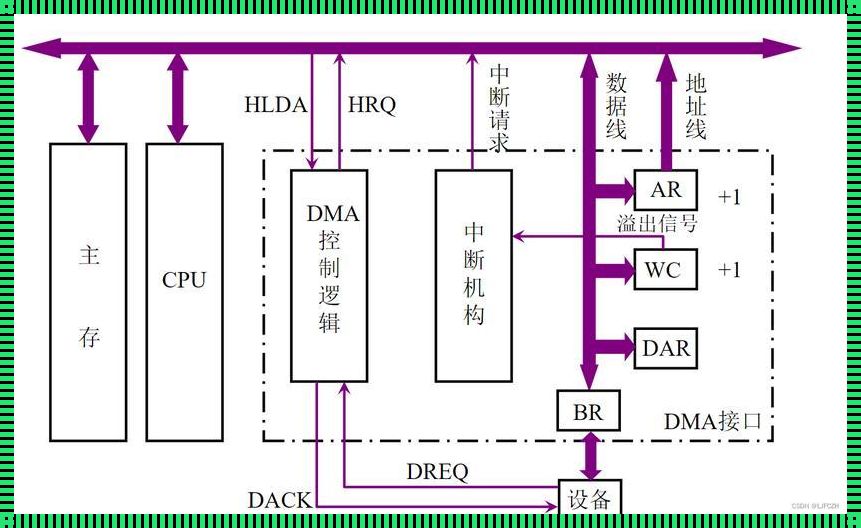 DMA控制方式：探索数据传输的新境界