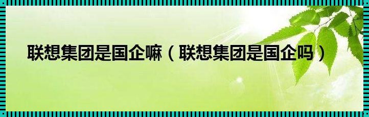 联想：从国企到私企的蜕变之路