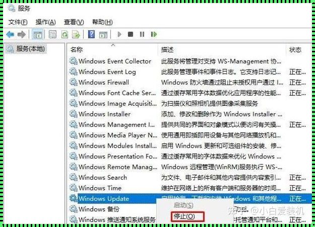 关于Windows更新文件删除的探讨