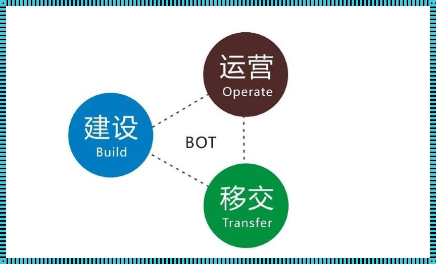 BTO管理：一场惊艳的变革