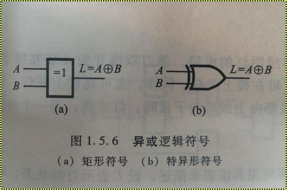 异或英文缩写揭秘：一场惊现的逻辑探险