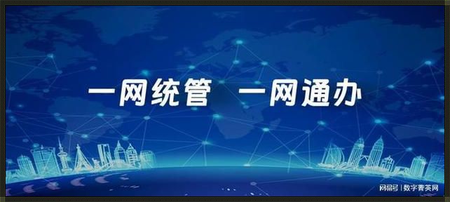 一网通办、一网统管、一网协同：打造智慧政务服务新模式