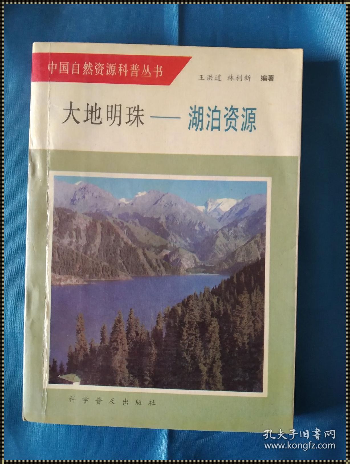 大地资源的华丽蜕变——AI科技开发的整机战略