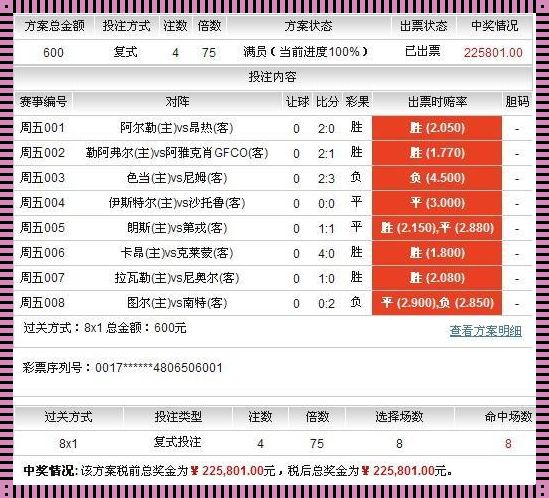 法乙赛程比分足彩网：一场惊现的竞技盛宴