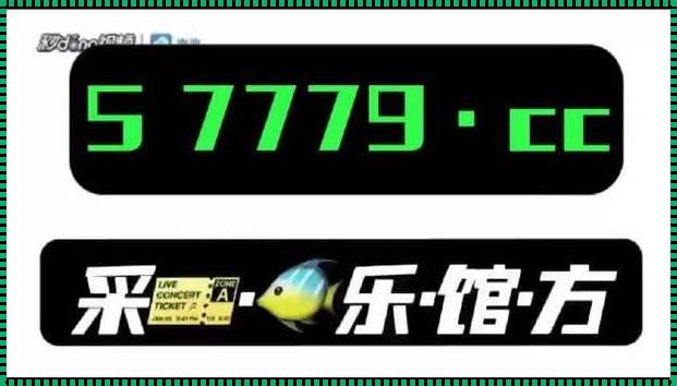 8188www威尼斯：概念性领域的探索与实践