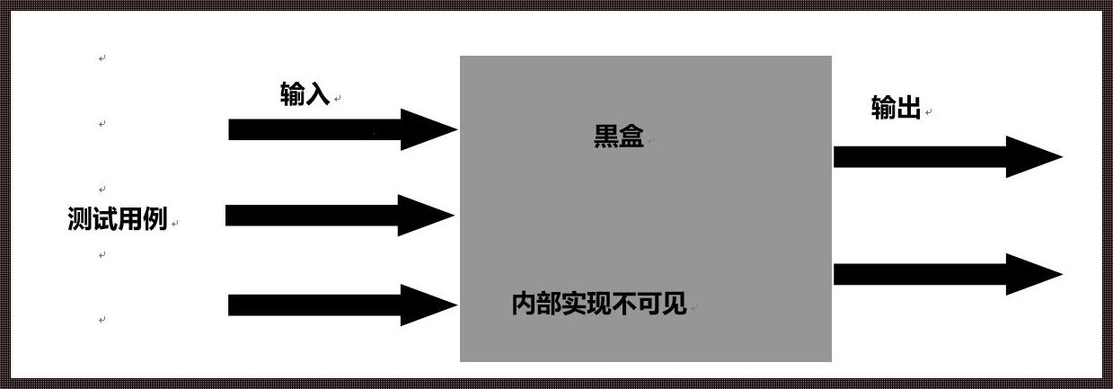 黑盒测试是露馅的艺术