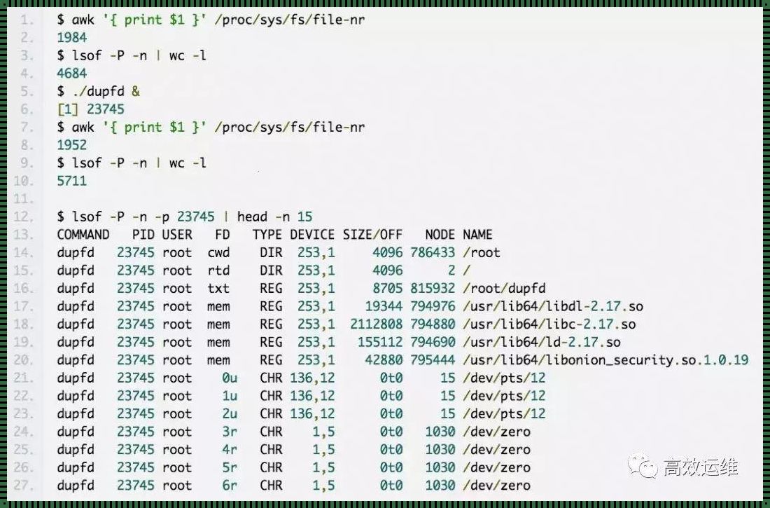 Linux文件句柄“012”：一个神秘的存在