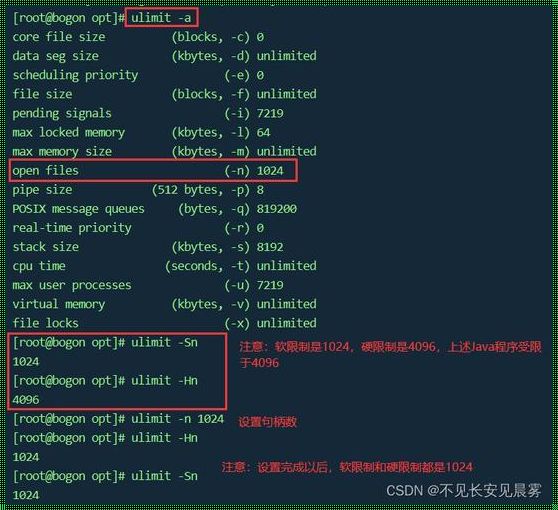 Linux文件句柄“012”：一个神秘的存在