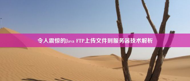 令人震惊的Java FTP上传文件到服务器技术解析