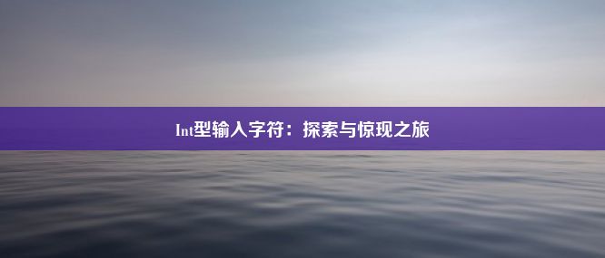 Int型输入字符：探索与惊现之旅